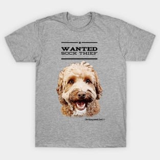 Cockapoo / Doodle Dog Sock Thief T-Shirt